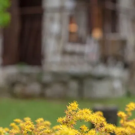 Urban Garden * リエカ
